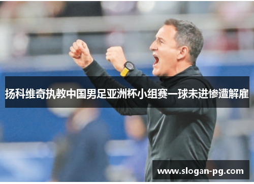 扬科维奇执教中国男足亚洲杯小组赛一球未进惨遭解雇 扬科维奇执教中国男足亚洲杯小组赛一球未进惨遭解雇